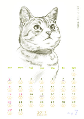 はなふさ あんに の 「フリー（無料）ダウンロード」／猫の絵のカレンダー／２０１７年（平成２９年）７月