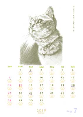 はなふさ あんに の 「フリー（無料）ダウンロード」／猫の絵のカレンダー／２０１９年（令和元年）７月