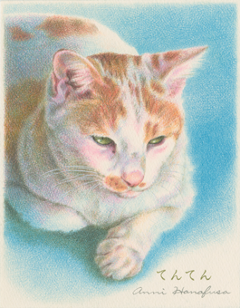 茶トラ白猫の色鉛筆画
