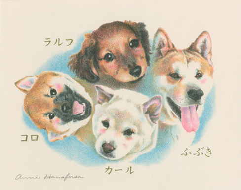 ダックスフンド・白柴・赤柴・秋田犬の色鉛筆画