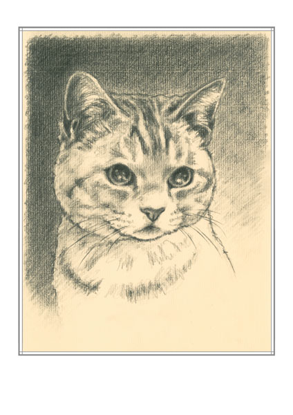 �T�o�g���L�̊G