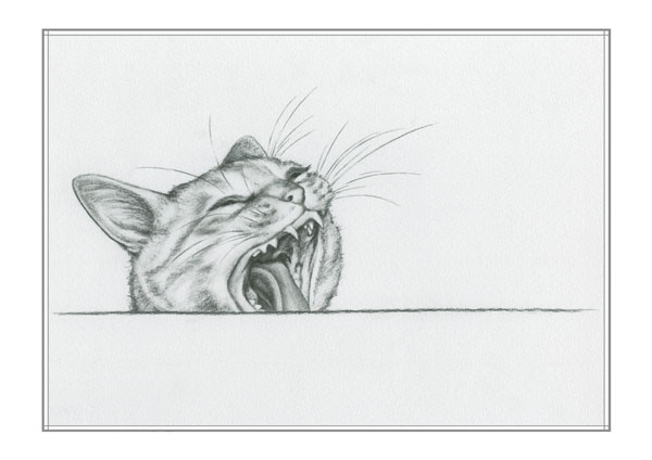 ���g���L�̊G