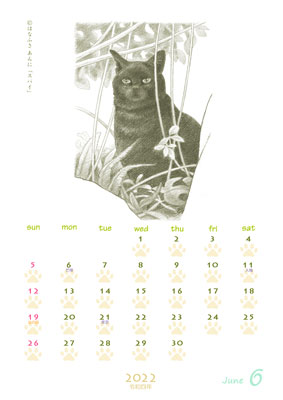 はなふさ あんに の 「フリー（無料）ダウンロード」／猫の絵のカレンダー／２０２２年（令和４年）６月