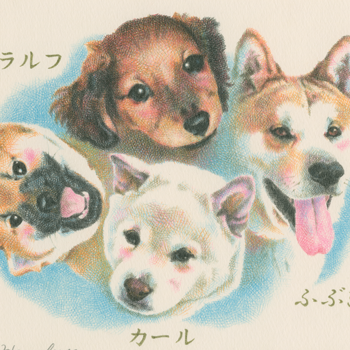 ダックスフンド・白柴・赤柴・秋田犬の肖像画