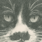 牛猫〜白黒猫の鉛筆画