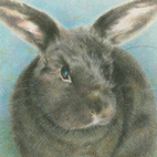 ウサギの肖像画（色鉛筆画）