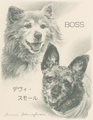 犬の鉛筆画